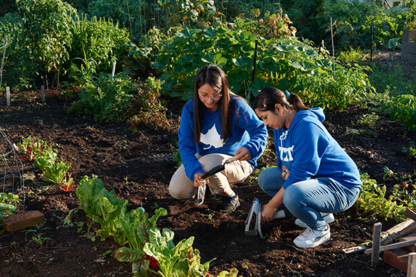 Two female students leaning down on the ground surrounded by plants in a garden.